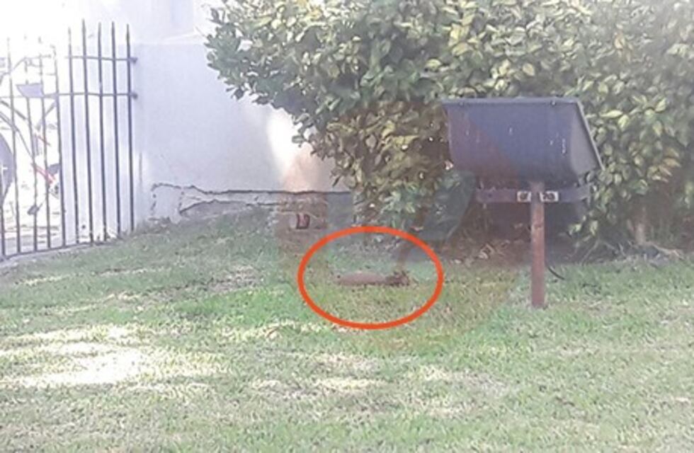 Villa María: hallan un explosivo en el Concejo Deliberante