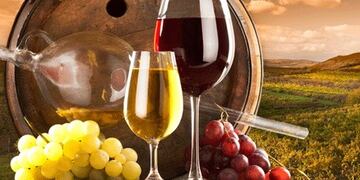 Las fuentes de informaciu00f3n son pu00e1ginas web de universidades, revistas especializadas, diarios, organismos de control (USDA, EPA, OIV, ISO, INV.