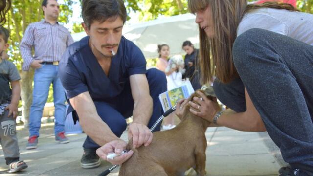 Pérez móvil estará en el barrio Cabin 9