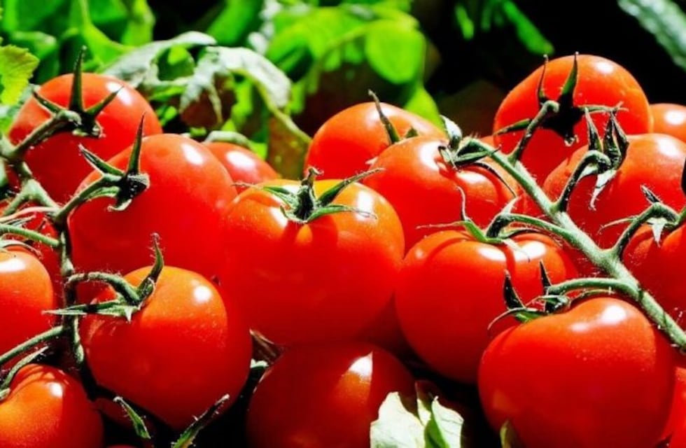 Consejos para la huerta