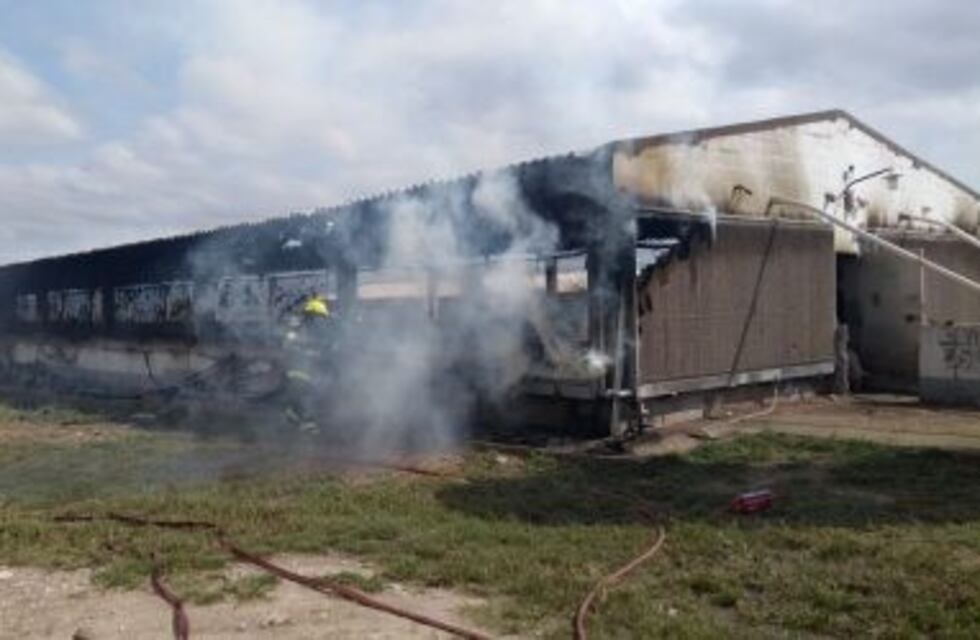 Murieron 800 cerdos en un incendio en Despeñaderos