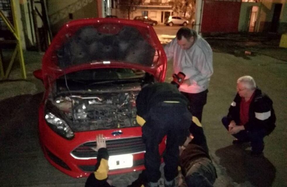 Rosarino manejó hasta el cuartel de Bomberos para que le sacaran un gatito del motor