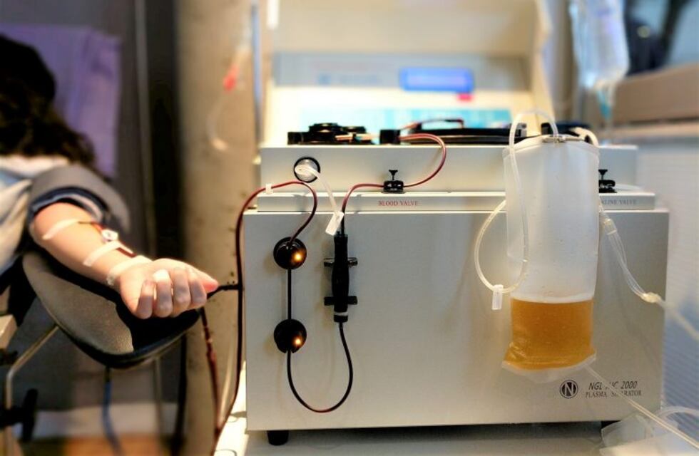 Donación de plasma, ¿cuál es la situación en San Francisco?