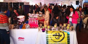 Proyectos productivos gestionados por mujeres, en Jujuy