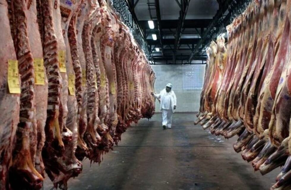 Estados Unidos habilitó cinco nuevos frigoríficos argentinos para exportar carne vacuna