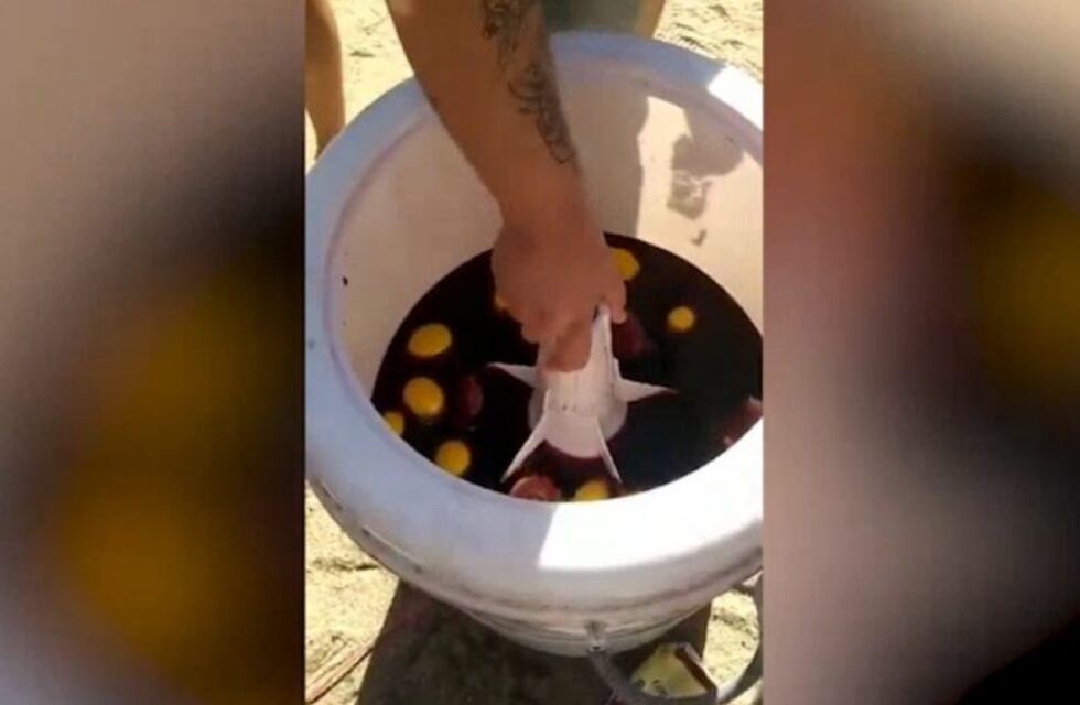 Viral cordobés: llevaron un lavarropas a la playa para hacer sangría