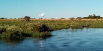 Imagen archivo\u002E Los Esteros del Iberá hubiesen sido entregados a manos extranjeras  si se aprobaba el proyecto de ley\u002E