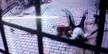 Un grupo de mono atacaron grupalmente a un hombre que retornaba a casa\u002E (Foto: Captura de Facebook)