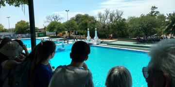 Las piletas se usarán en burbujas de seis personas (Foto: Parque Sarmiento)