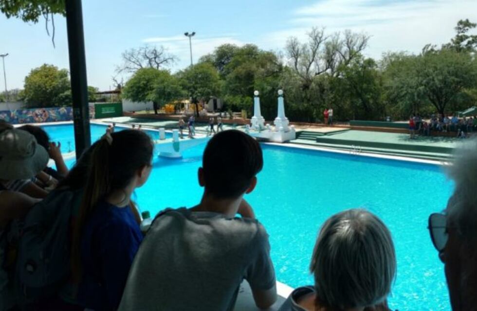 Habilitarán piletas en Santa Fe, con burbujas permitidas de hasta seis personas