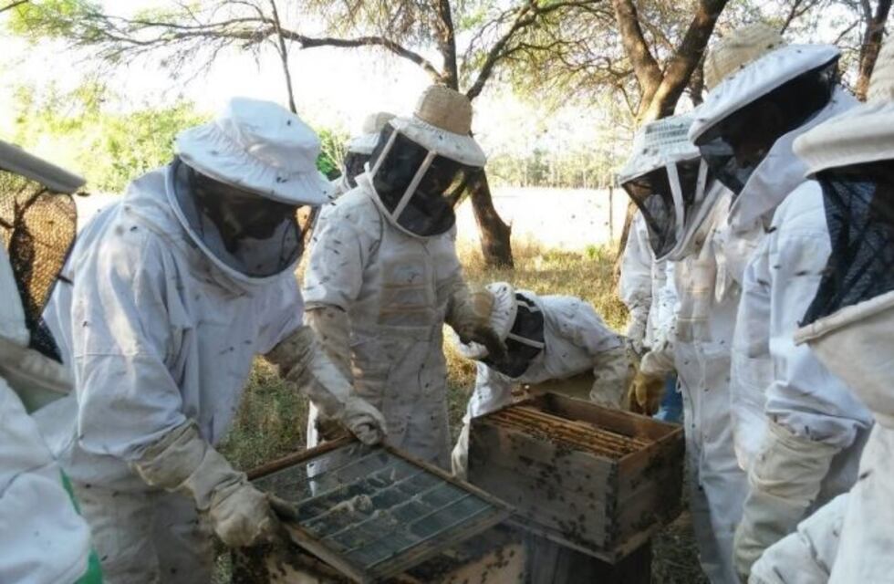 La miel de Formosa tiene sabores y características únicas