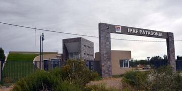 La diputada nacional Alma “Chani” Sapag presentará un proyecto en el Congreso para que se revea el cierre del IPAF\u002E