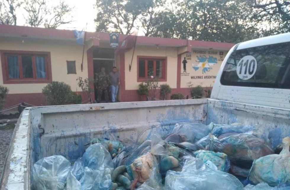 Decomisaron más de 500 kilos de carne en mal estado