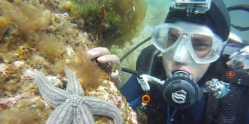 Puerto Madryn fue catalogado como el mejor destino para hacer buceo