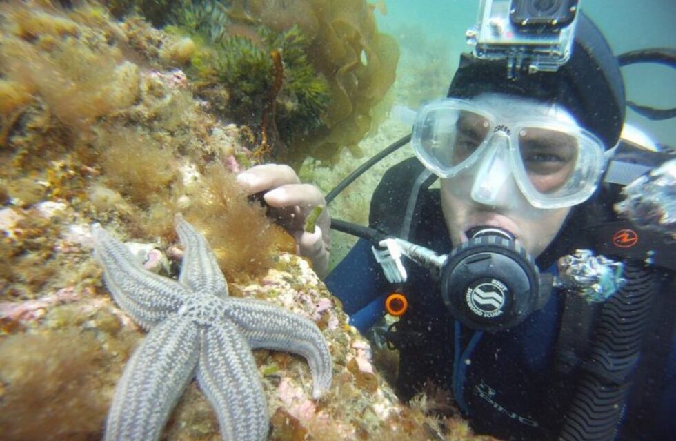 Puerto Madryn fue catalogado como el mejor destino para hacer buceo