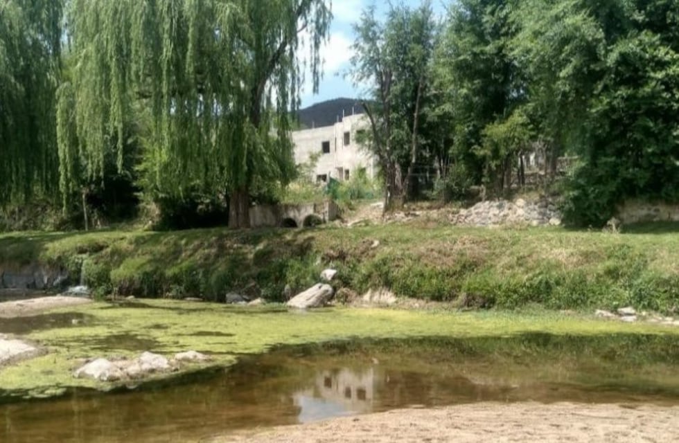 Advierten que las algas verdes en el río San Antonio "no representan peligro para el ser humano"