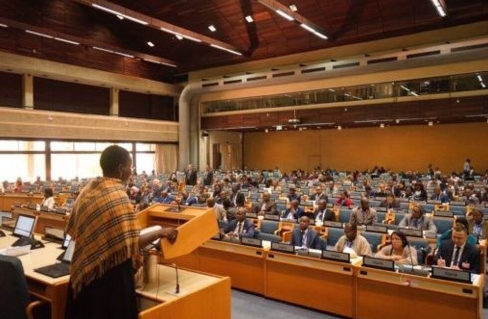 África debate soluciones para lograr desafíos ambientales