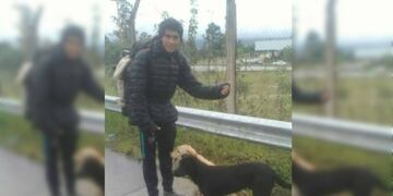 Lucas viaja a dedo con sus perros