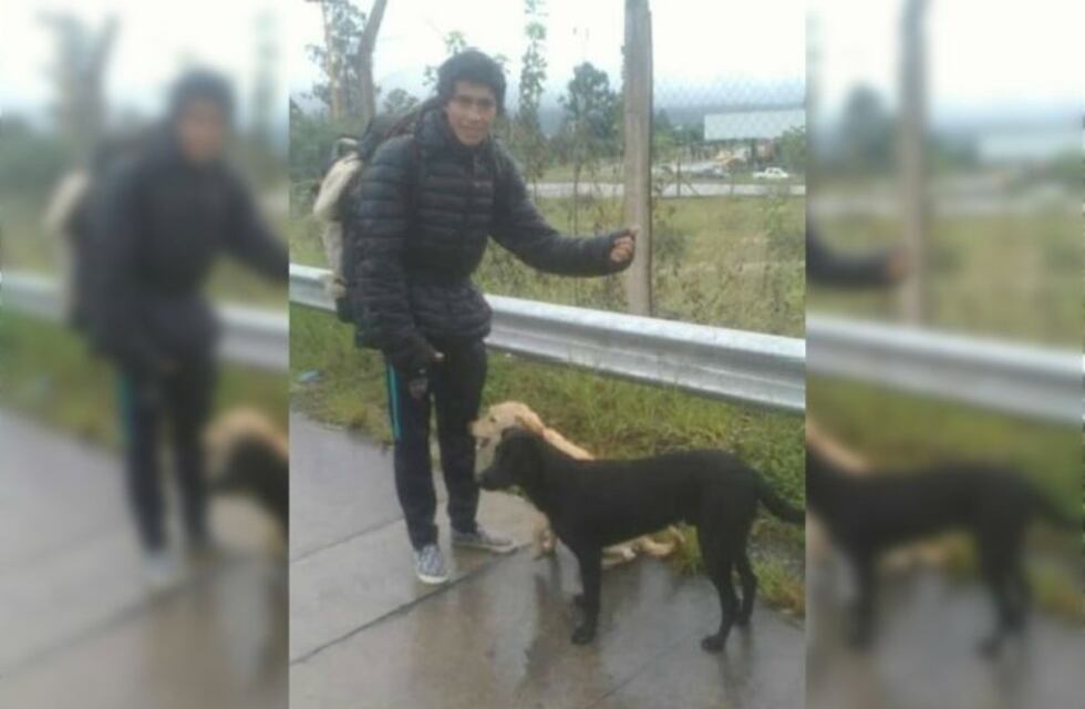 Un mendocino viaja desde Jujuy a dedo con sus perros para no abandonarlos