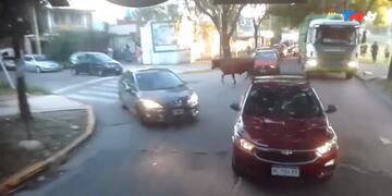 (Captura de video)