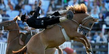 Para nuestros lectores, la doma debe ser sacada del Festival de Jesús María\u002E