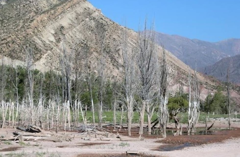 Mendoza en alerta máxima por la sequía