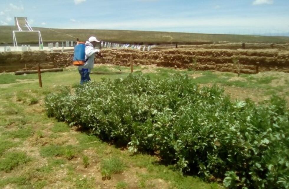 Productores jujeños se capacitaron en la fabricación de biofertilizantes y bioabonos