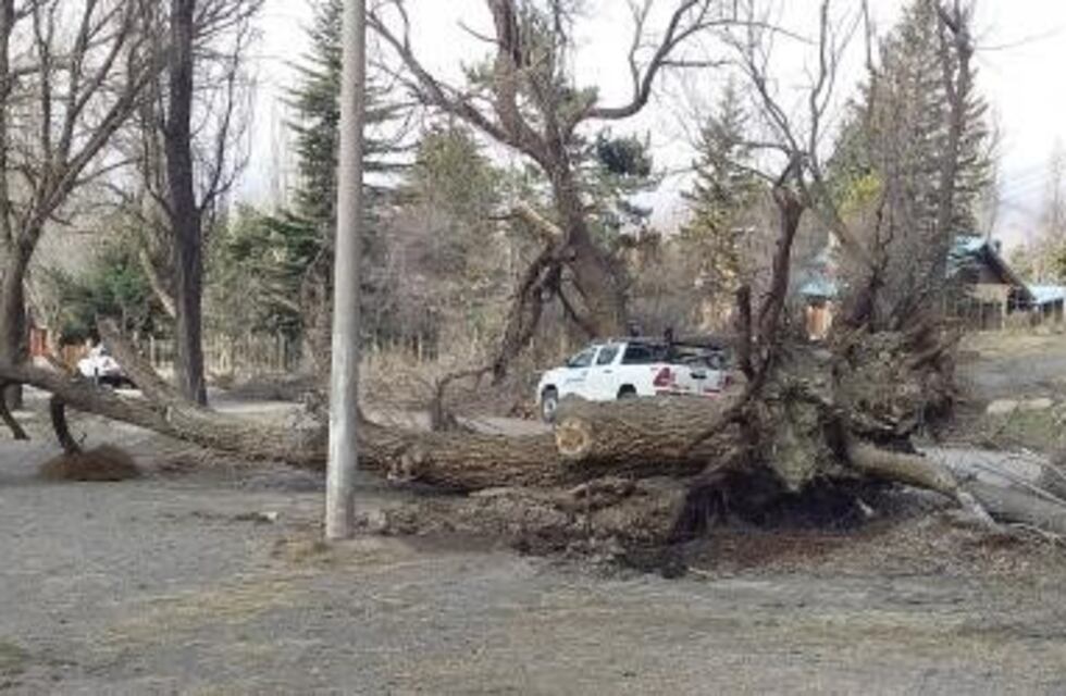 Tras el zonda, Las Heras declaró emergencia ambiental