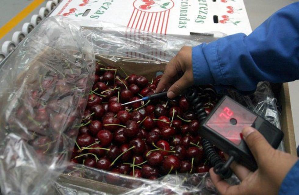 Las cerezas argentinas miran a China