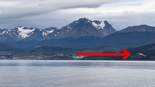Apareció un extraño objeto en la Patagonia Argentina y generó muchas dudas