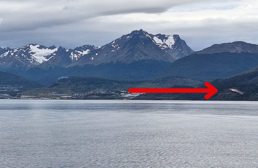 ¿Un OVNI? Apareció un extraño objeto en la Patagonia Argentina y generó muchas dudas