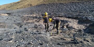 Miembros de la Brigada de Incendios Forestales trabajan en la extinción de últimos vestigios de fuego, en la Puna jujeña.