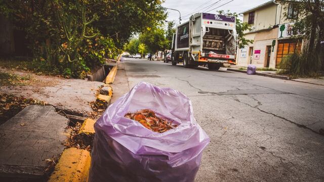La municipalidad de Guaymallén entrega bolsas a sus vecinos para juntar hojas.