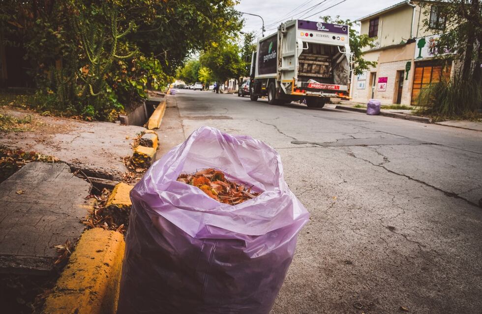 Guaymallén entrega bolsas a sus vecinos para que recolecten hojas