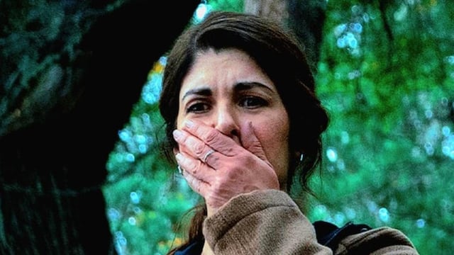 La serie sugerida por Netflix salió en 2025.