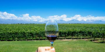 Mendoza será sede para un encuentro internacional de vinos en el 2022.