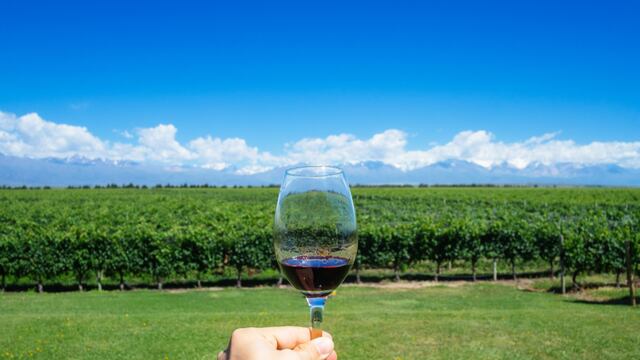 Mendoza será sede para un encuentro internacional de vinos en el 2022.