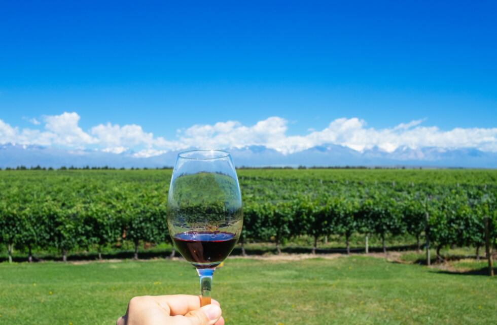 Mendoza será la anfitriona de las Capitales del Vino en la Conferencia Anual 2022