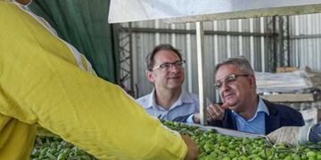 El Gobierno provincial potencia el sector agroindustrial con un subsidio.