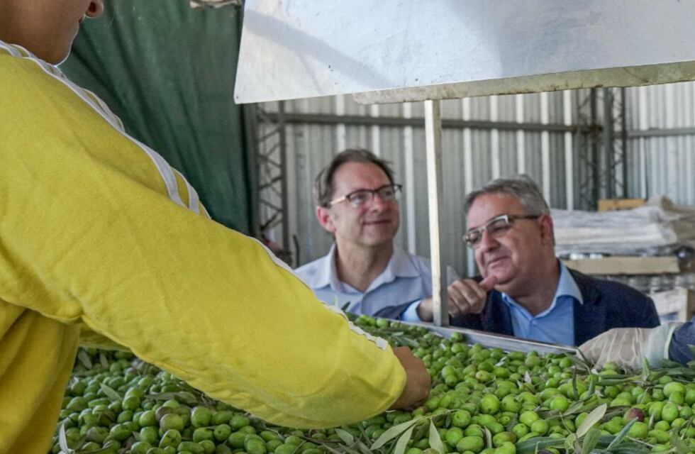 Subsidio energético para el sector productivo