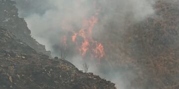 Brigadistas combatieron un incendio en el límite con Salta