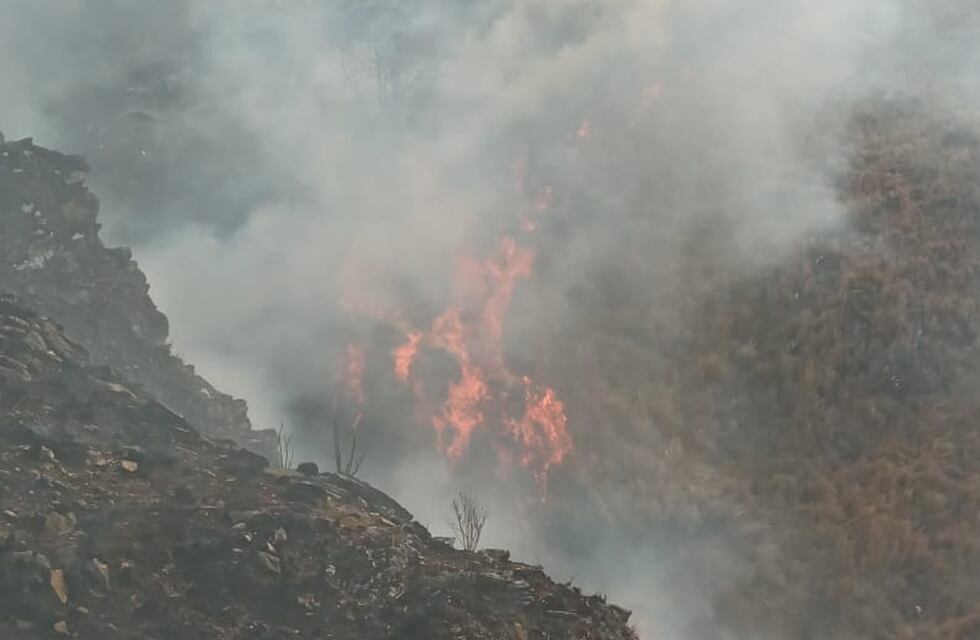 Brigadistas combatieron un incendio en el límite con Salta