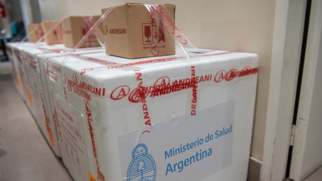Llegaron a Mendoza las primeras dosis de la vacuna Sputnik V y el polémico cantante se burló del protocolo del traslado.