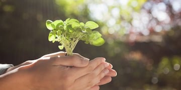 Gualeguaychú realiza el primer encuentro sobre flora nativa