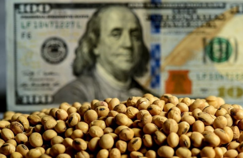 La comercialización de soja se ralentiza, ¿nuevo dólar soja?