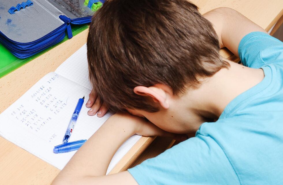 Una sanjuanina no pudo enviar a su hijo con discapacidad a la escuela por falta de un profesional capacitado y pide ayuda