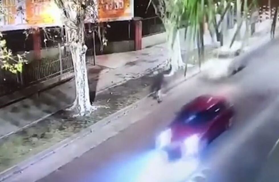 El conductor borracho que atropelló, escapó y chocó tiene más de 140 mil pesos en multas