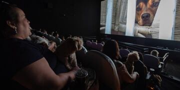 AME8940\u002E SAO PAULO (BRASIL), 24/02/2019\u002E- Decenas de personas y sus perros asisten al preestreno de \