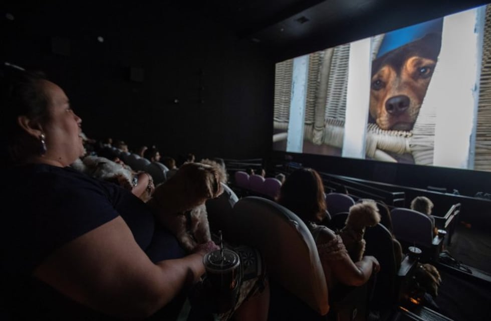 Unquillo: nueva cartelera del cine