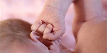 Imagen ilustrativa\u002E